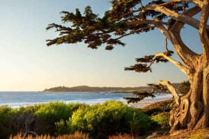 Best Things to Do in Big Sur California in 2024