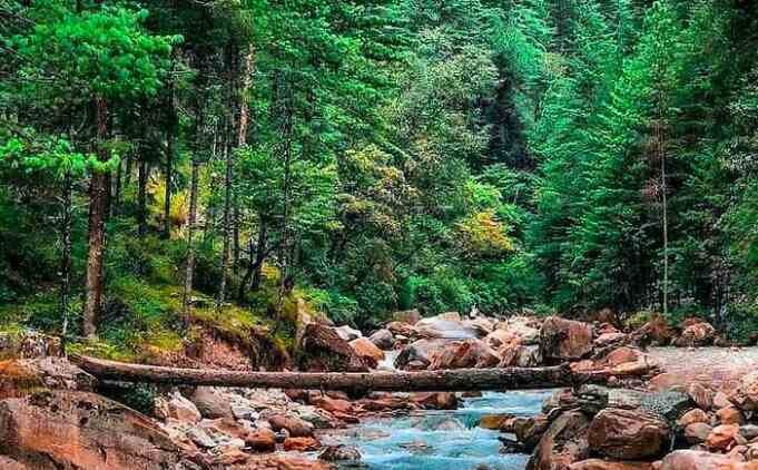 Kheerganga: All You Need to Know, A Complete Trek Guide
